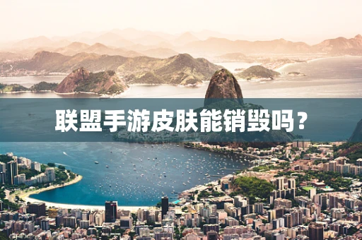 联盟手游皮肤能销毁吗？