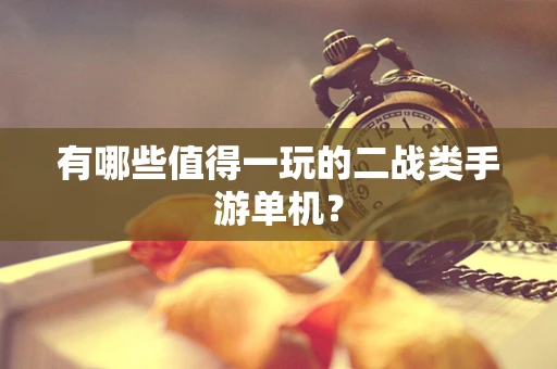 有哪些值得一玩的二战类手游单机？