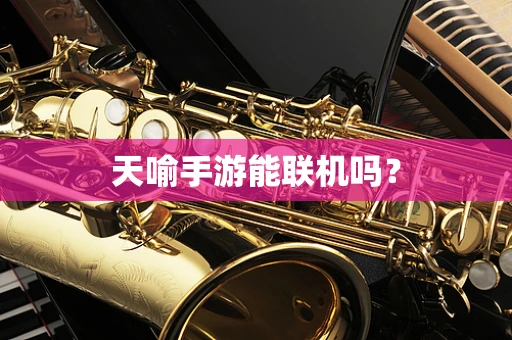 天喻手游能联机吗？