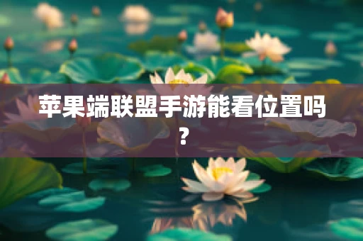 苹果端联盟手游能看位置吗？