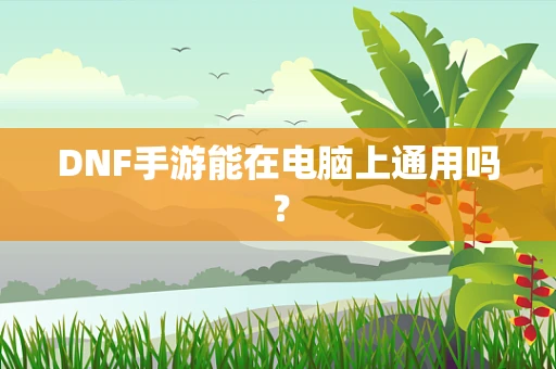 DNF手游能在电脑上通用吗？