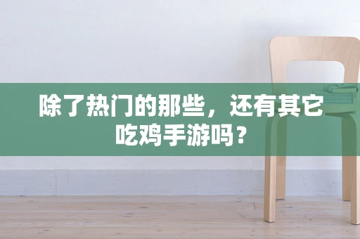 除了热门的那些，还有其它吃鸡手游吗？