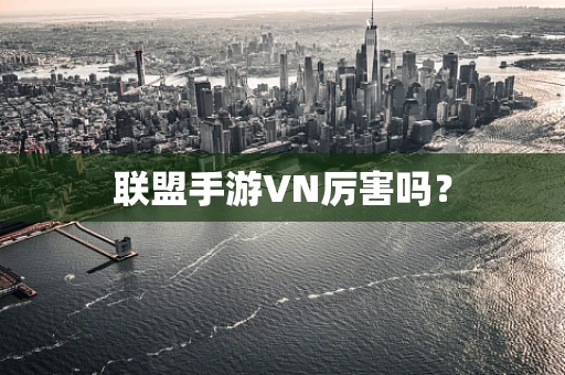 联盟手游VN厉害吗？