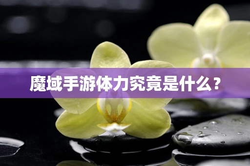 魔域手游体力究竟是什么？