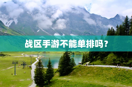 战区手游不能单排吗？