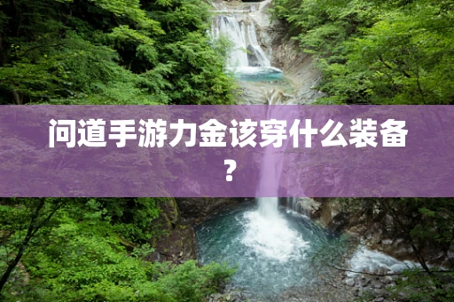 问道手游力金该穿什么装备？