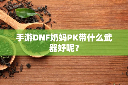手游DNF奶妈PK带什么武器好呢？