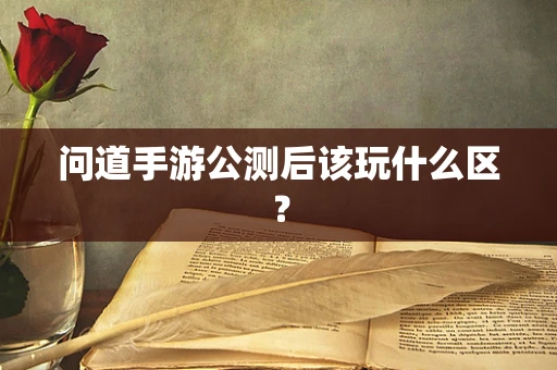 问道手游公测后该玩什么区？