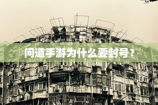 问道手游为什么要封号？