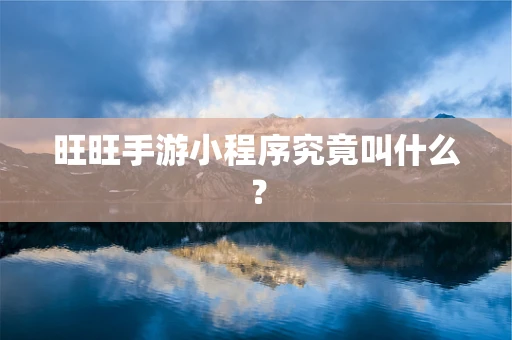 旺旺手游小程序究竟叫什么？