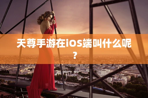 天尊手游在iOS端叫什么呢？