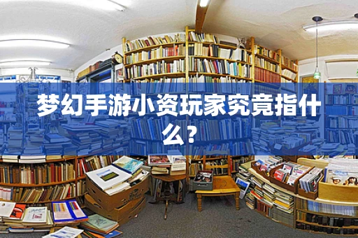 梦幻手游小资玩家究竟指什么？