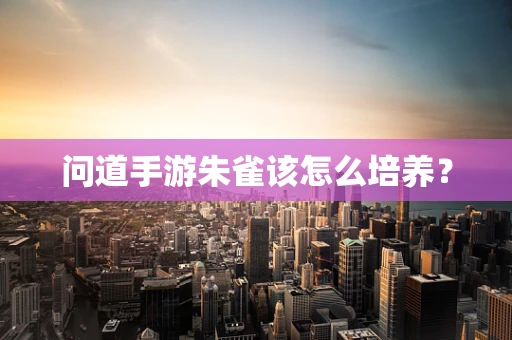 问道手游朱雀该怎么培养？