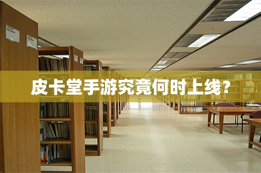 皮卡堂手游究竟何时上线？