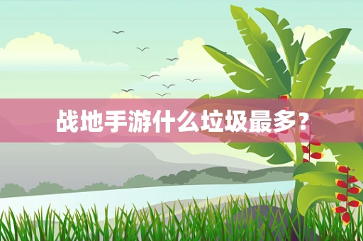 战地手游什么垃圾最多？
