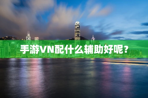 手游VN配什么辅助好呢？