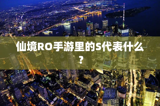 仙境RO手游里的S代表什么？