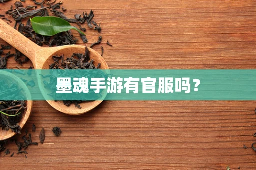 墨魂手游有官服吗？