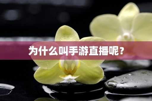 为什么叫手游直播呢？