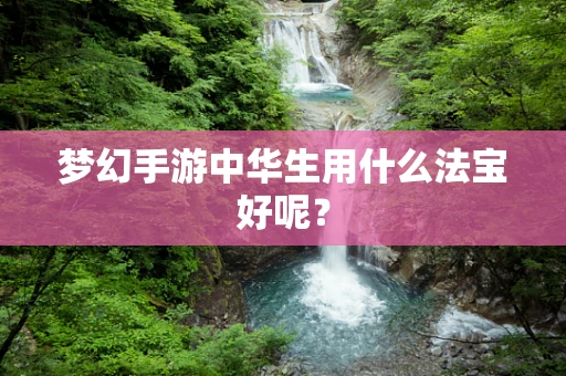 梦幻手游中华生用什么法宝好呢？