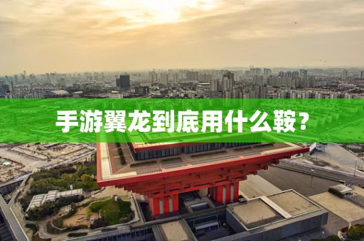 手游翼龙到底用什么鞍？