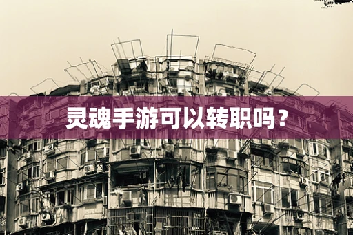 灵魂手游可以转职吗？