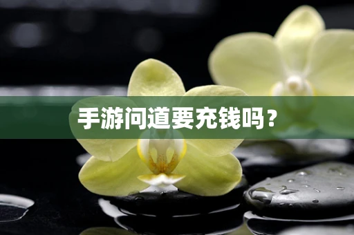 手游问道要充钱吗？