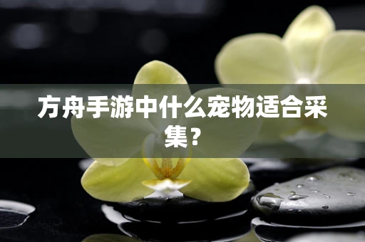 方舟手游中什么宠物适合采集？