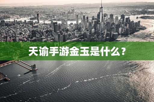 天谕手游金玉是什么？