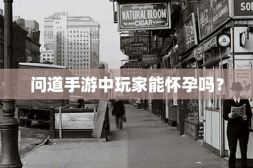 问道手游中玩家能怀孕吗？