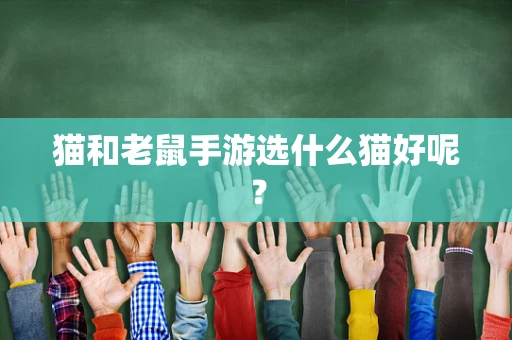 猫和老鼠手游选什么猫好呢？