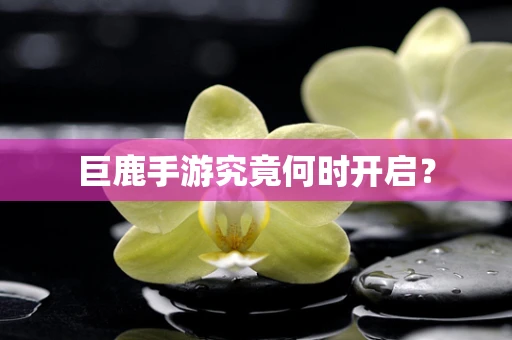 巨鹿手游究竟何时开启？