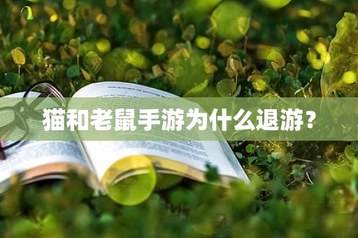 猫和老鼠手游为什么退游？