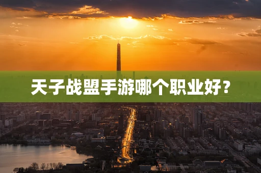 天子战盟手游哪个职业好？