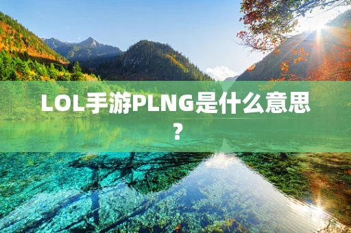 LOL手游PLNG是什么意思？