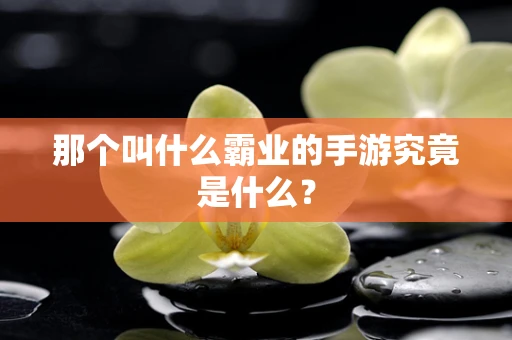 那个叫什么霸业的手游究竟是什么？