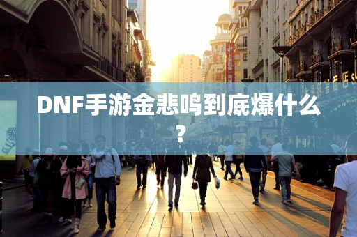 DNF手游金悲鸣到底爆什么？
