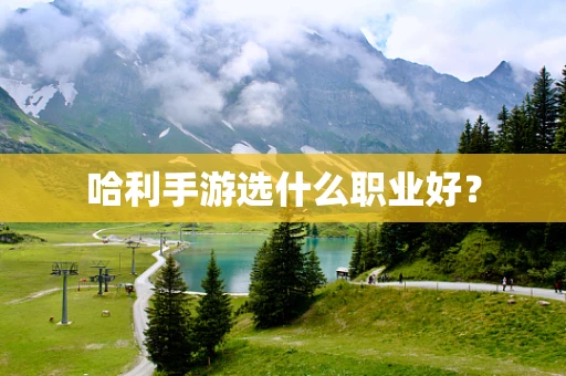 哈利手游选什么职业好？