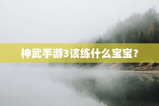 神武手游3该练什么宝宝？