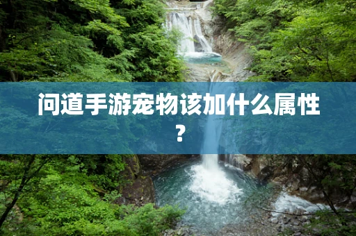 问道手游宠物该加什么属性？