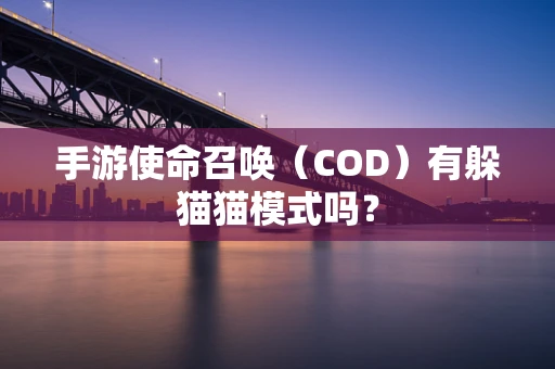 手游使命召唤（COD）有躲猫猫模式吗？