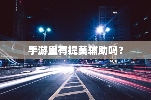 手游里有提莫辅助吗？