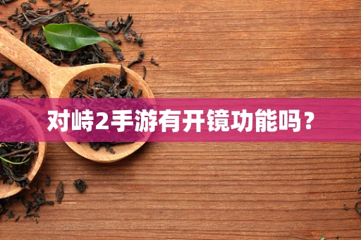 对峙2手游有开镜功能吗？
