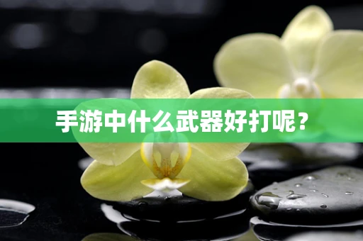 手游中什么武器好打呢？