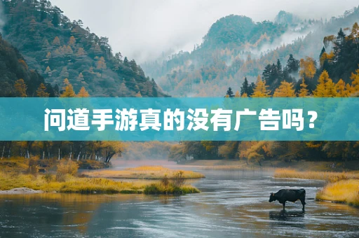 问道手游真的没有广告吗？