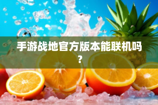 手游战地官方版本能联机吗？