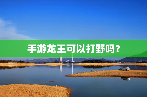 手游龙王可以打野吗？