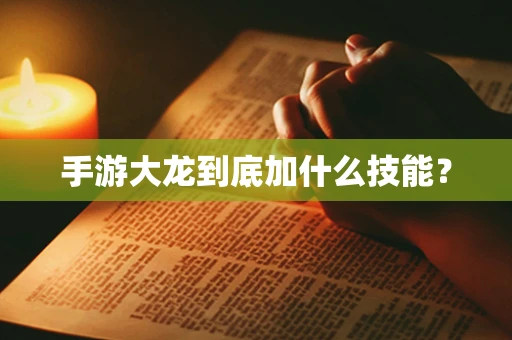 手游大龙到底加什么技能？