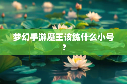 梦幻手游魔王该练什么小号？
