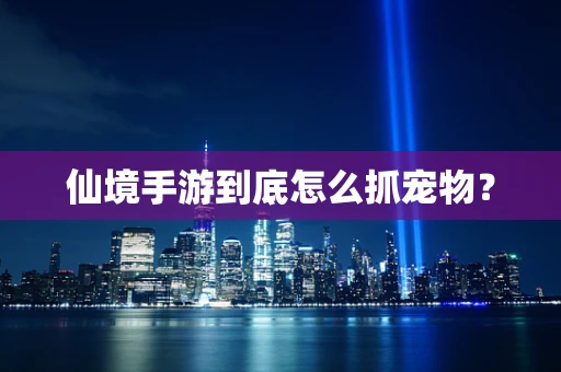 仙境手游到底怎么抓宠物？